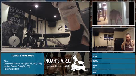 Gym Session w/Remy Rem [Week 5] - Abs & Chest // Animal Rescue Stream :)