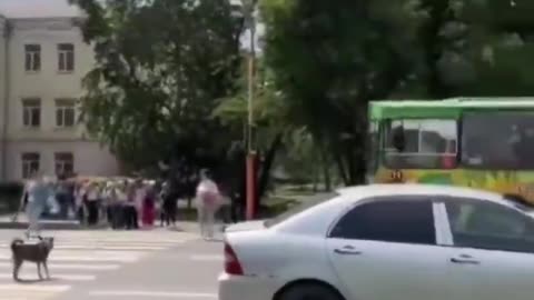 Dog helping to stop the traffic to let the kids cross the street safely.. 🙏