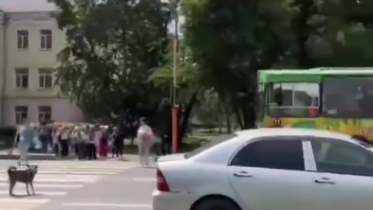 Dog helping to stop the traffic to let the kids cross the street safely.. 🙏