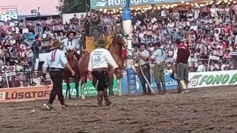 Dos uruguayos se destacaron en las jineteadas en el Festival cordobés de Jesús María (Argentina)