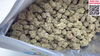 The NEW Dank Flamingo Drop from THCA Small Buds! Dankin With the Flamingos!!