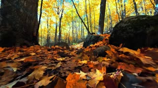 Sunset Drift House Lounge