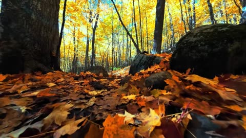 Sunset Drift House Lounge