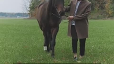 Daily Horoscope | Taurus 🌟