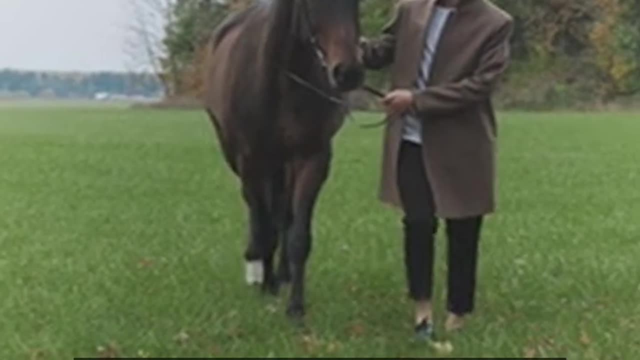 Daily Horoscope | Taurus 🌟