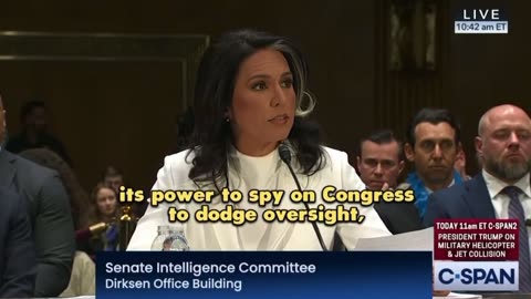 Tulsi Gabbard Calls Out the Deep State at Confirmation Hearing