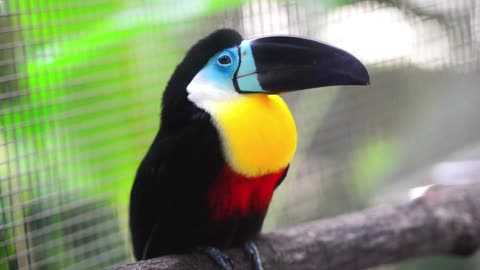 "Hard work pays off in the long run."