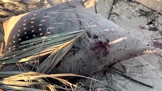 Israel strikes Gaza, accuses Hamas of attacks