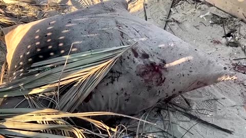 Israel strikes Gaza, accuses Hamas of attacks