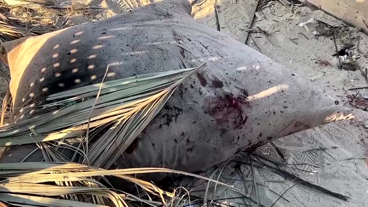 Israel strikes Gaza, accuses Hamas of attacks