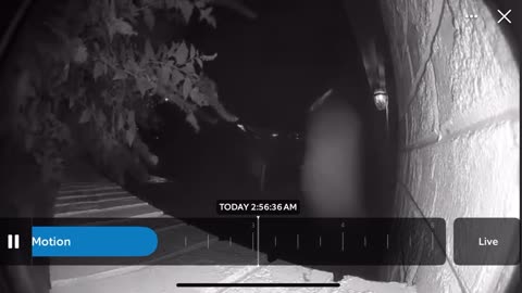 😱🎥 Unidentified Object on Ring Camera! | TheHauntingHour