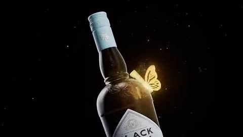 Happy Holidays from Black Irish!