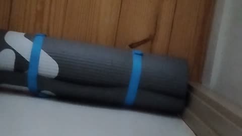 Shia, video recorded 6:31 PM Jan 3, '25 by Alyssa