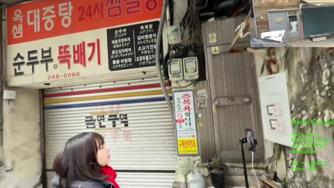 🔥monday Busan Korea 韓国 釜山