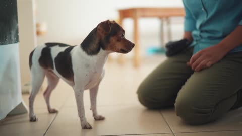 Billy and Sol's Funniest Moments: You Won't Stop Laughing!