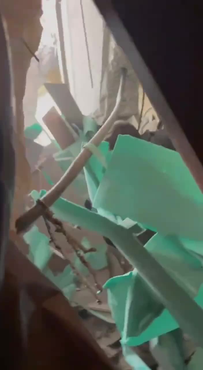 💥 AFU organised a real safari for Russian UAVs operators.