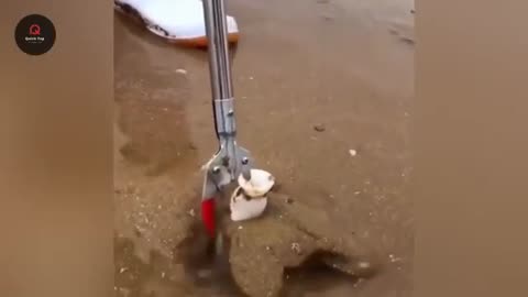 Incredible Nature Moments Caught on Camera