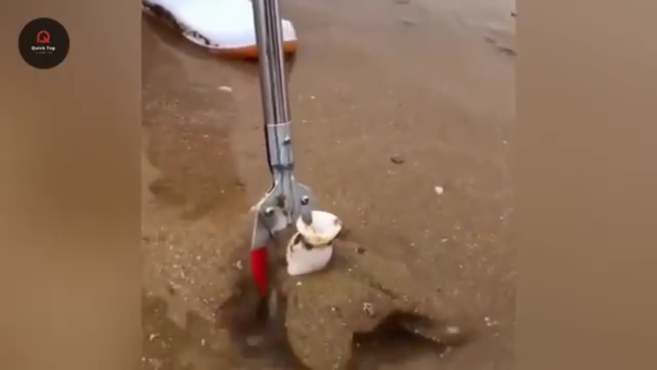 Incredible Nature Moments Caught on Camera