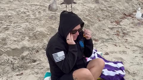 Birds Show Her Who’s Boss