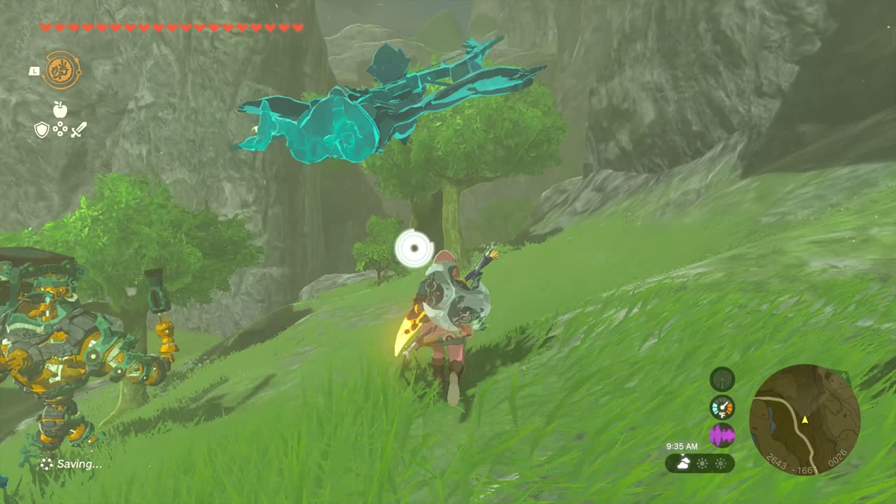 hyrule castle moat west chasm