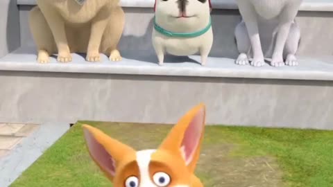 Funny cartoon 🐈😺 or 🐶🐕 video