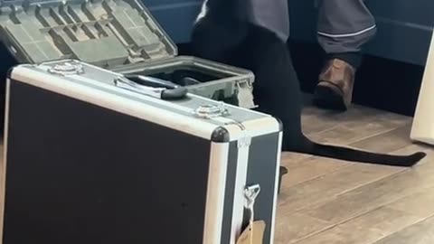 Have to work while very demanding customers watch