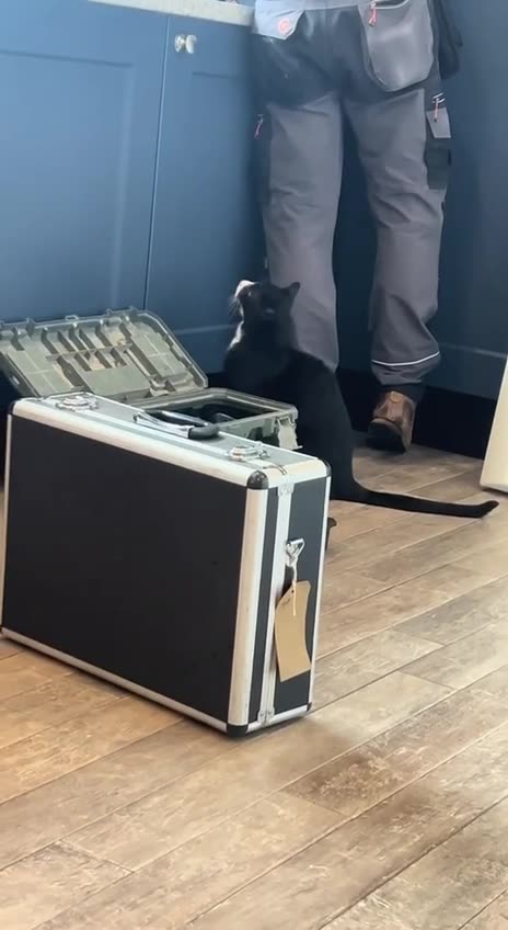 Have to work while very demanding customers watch