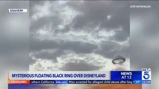 Disneyland Portal...