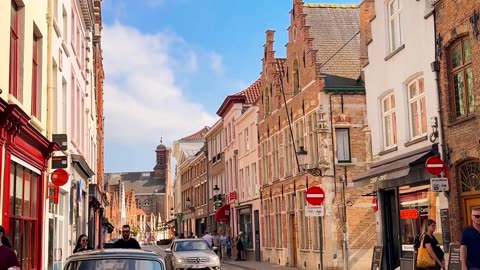 Whispers of the Forest: A Journey Through Nature’s Calm