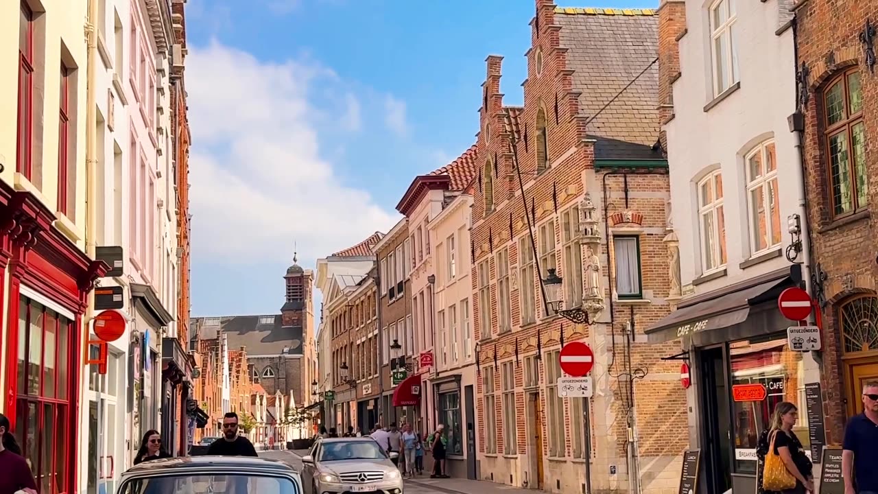 Whispers of the Forest: A Journey Through Nature’s Calm