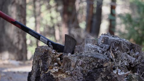 "The man who moves a mountain begins by carrying away small stones."