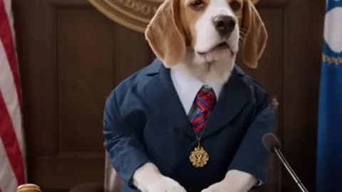 Dog on Trial: The Barking Witness 🐾⚖️