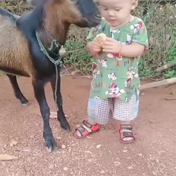 LOL: I can't believe this