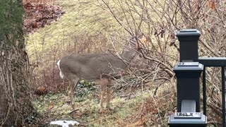 February 15, 2026 - A Sunday Visitor