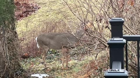 February 15, 2026 - A Sunday Visitor