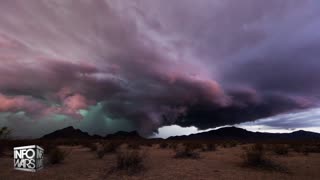 Alex Jones Show 24/7