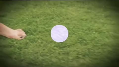 ☀️ LIGHT & FOOD: The Forgotten Physics of Healing