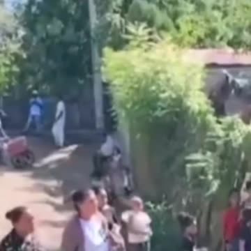 Madre de Niña del Suceso con Primo