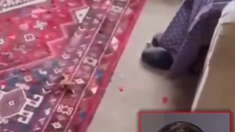 Diversity Vs Old Woman