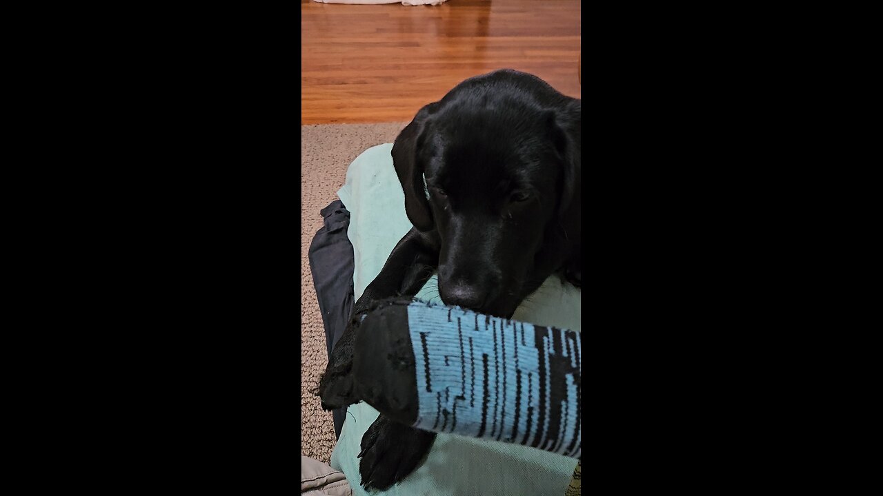 Someone stole her ball.