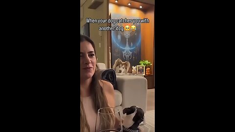 jealous dog