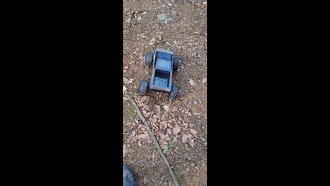 rc tesla outdoor