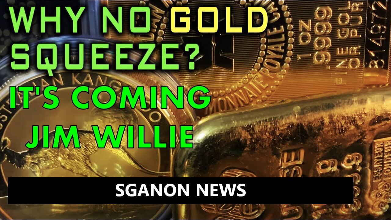 Jim Willie EMERGENCY ALERT, THE GOLD SQUEEZE IS ON. ANDY SCHECTMAN, SGANON NEWS