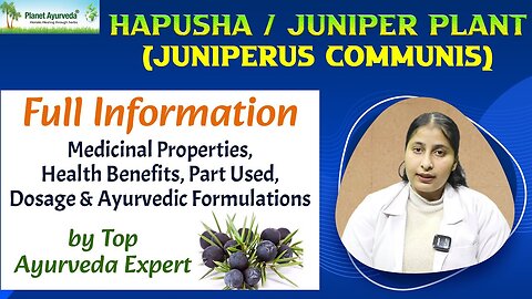 Hapusha (Juniperus communis)- Medicinal Properties, Health Benefits
