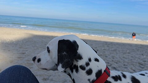 Luna listening
