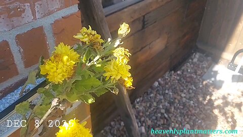 52 Sundays . . . on Monday Afternoon!52 Sundays . . . on Monday Afternoon!