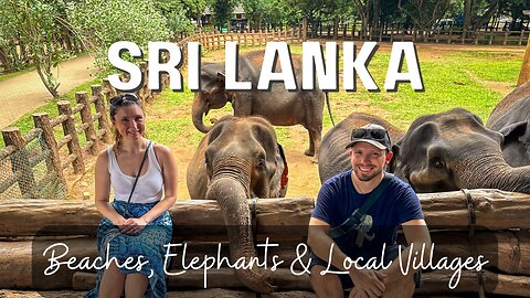 The Wonders of Sri Lanka | Negombo & Pinnawala Elephant Orphanage