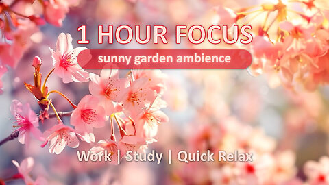 1 Hour Of Nature Ambience | Study, Work, Chill | Aesthetic Background And Soothing Sounds