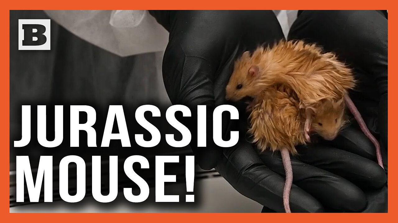 Jurassic Mouse! — Scientists Genetically Engineer Wooly Fur to Mice in Quest to Revive Mammoth
