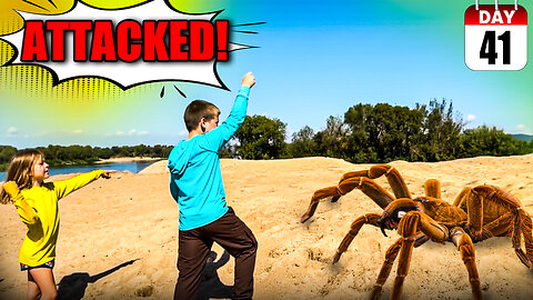 7 Kids + Mom Survive Jumping Spider Attack | Family Camping Adventure – Day 41